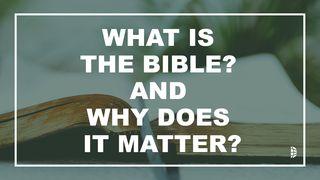 What Is The Bible, And Why Does It Matter?